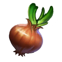 Onion.png
