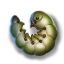 Silkworm Caterpillar.png