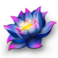 Blue Lotus.png